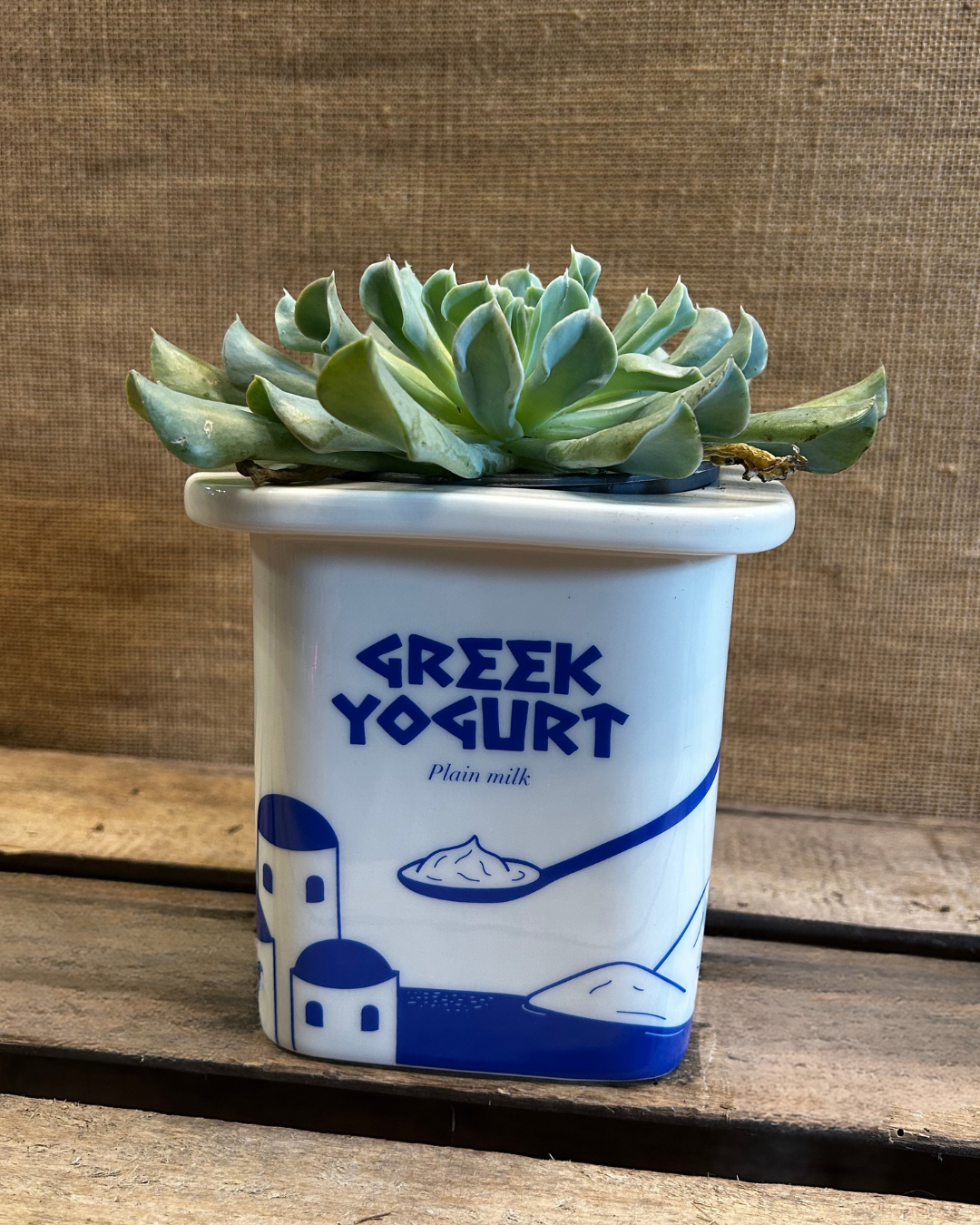 Pot Yogurt Greek