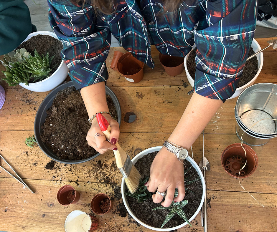 Atelier enfants: Mon mini monde en succulentes
