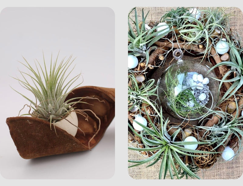 Image galerie Atelier Nature