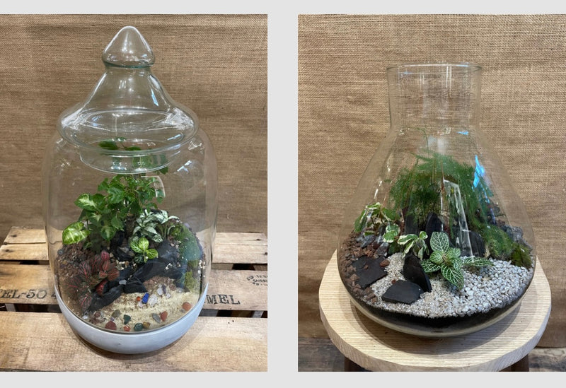 Image galerie Atelier Nature