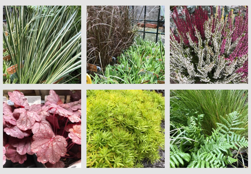 Image galerie Atelier Nature