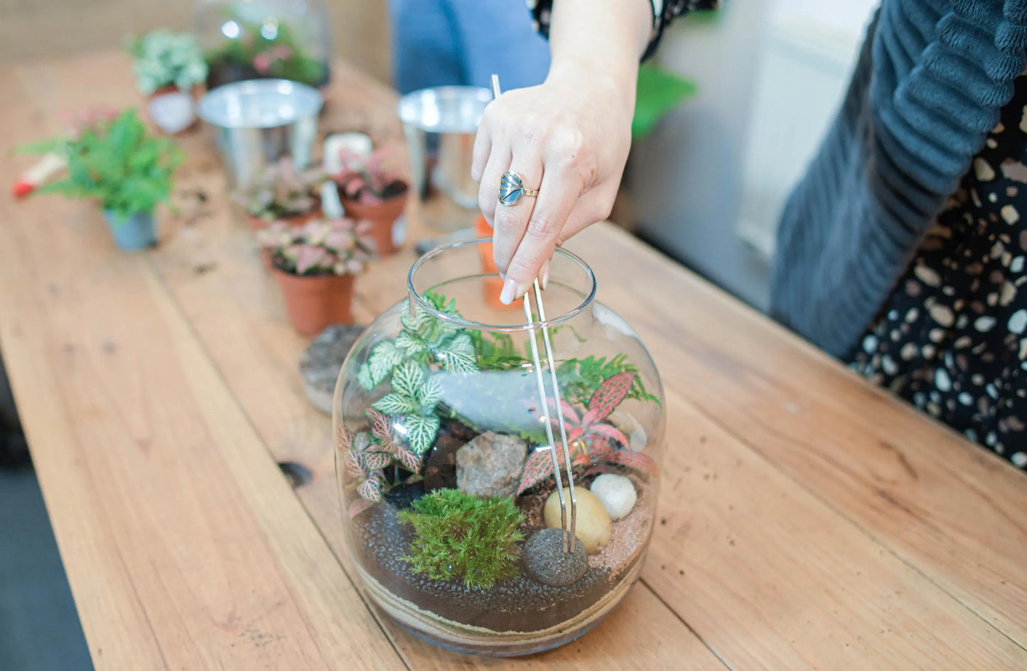 Bon cadeau pour un atelier terrarium: Bulle de verre