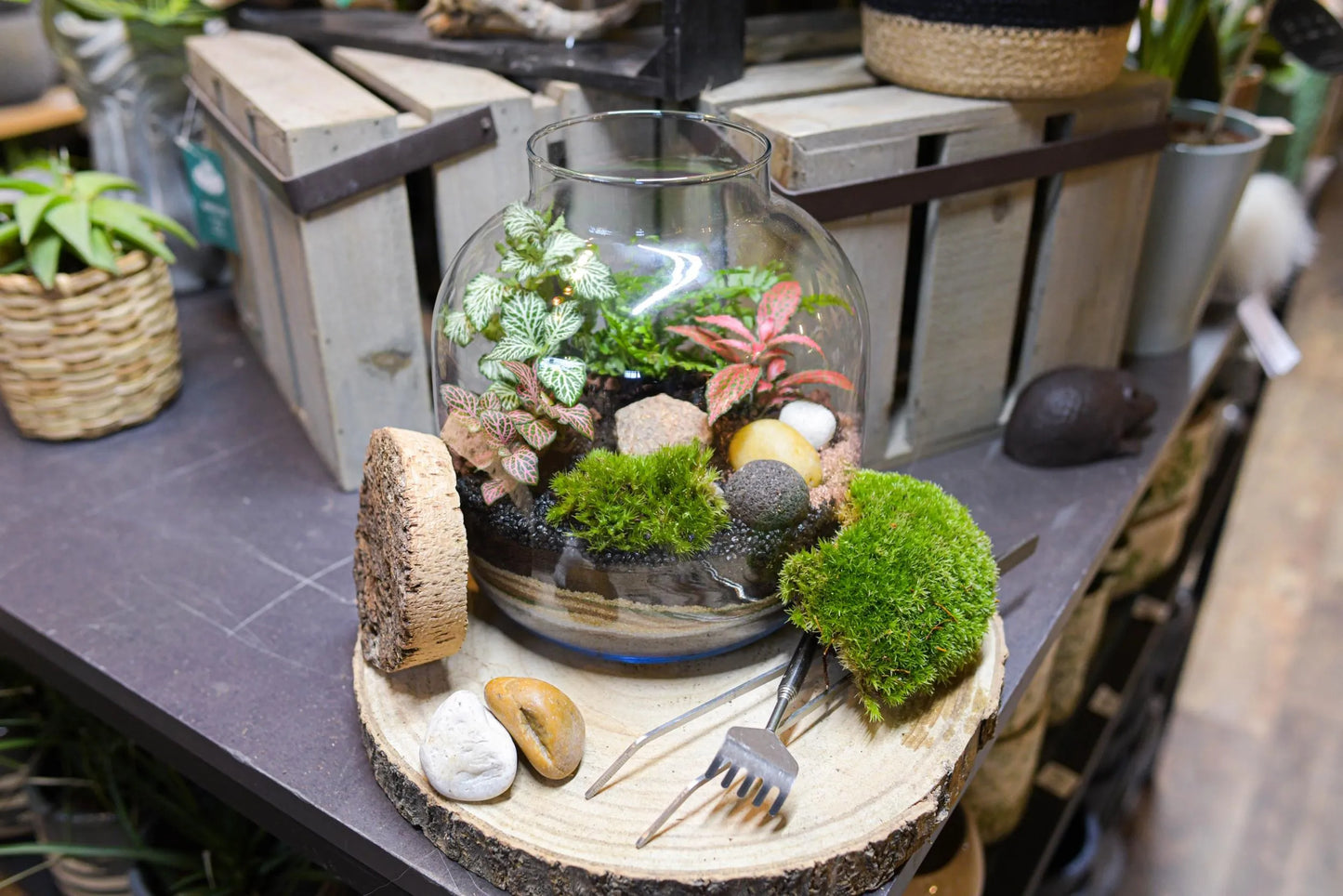 Atelier pour créer votre terrarium: Bulle de verre