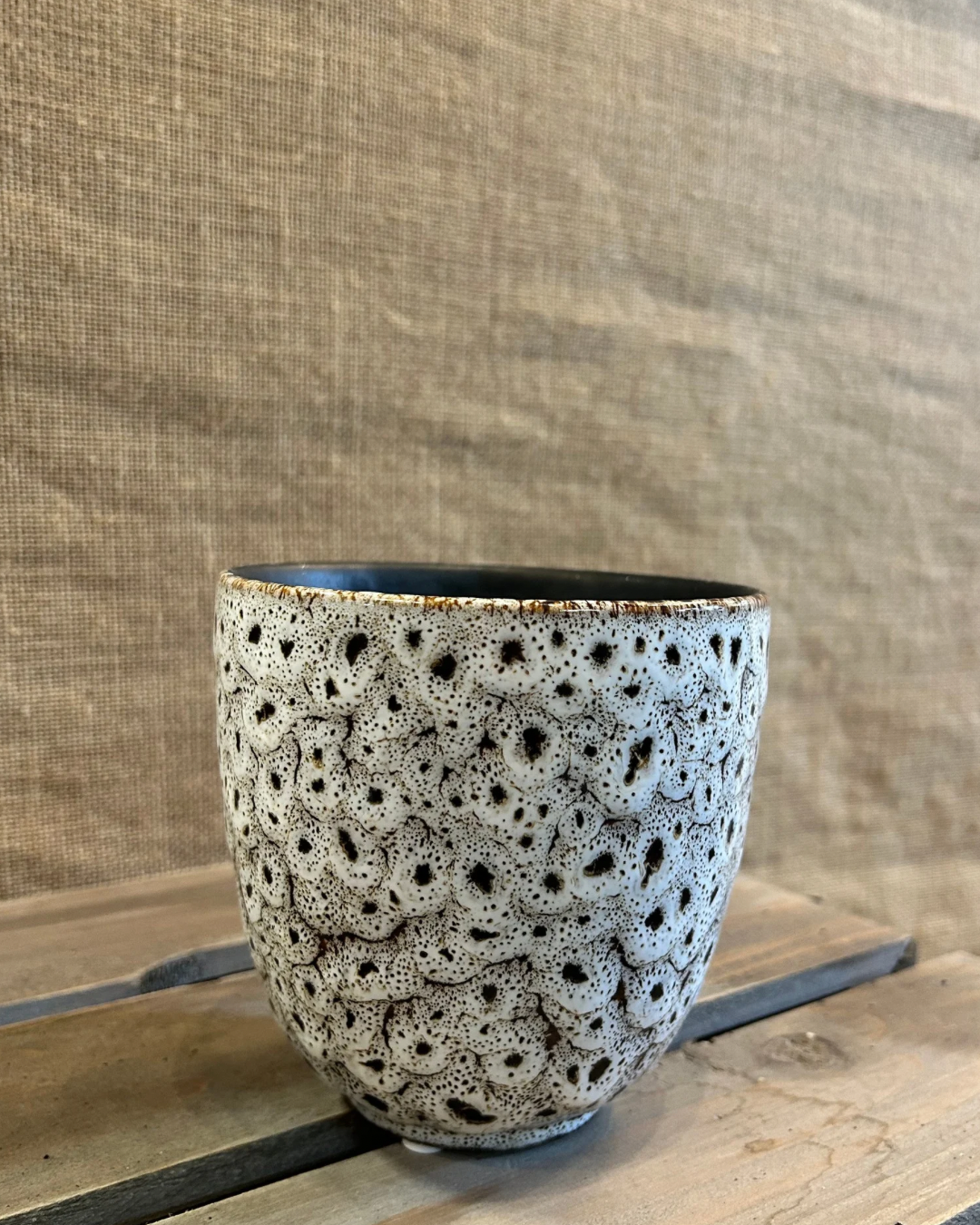 Cache-Pot Léopard M