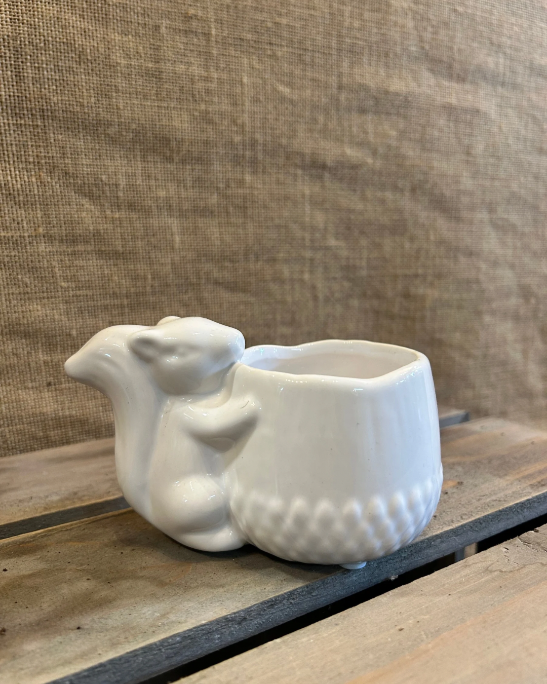 Cache-Pot écureuil blanc XS