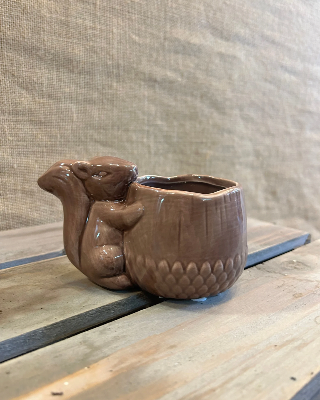 Cache-Pot écureuil marron XS