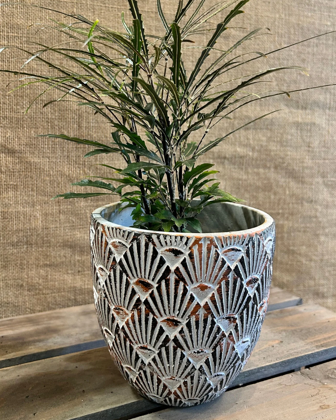 Cache-Pot Bohème XL avec plante