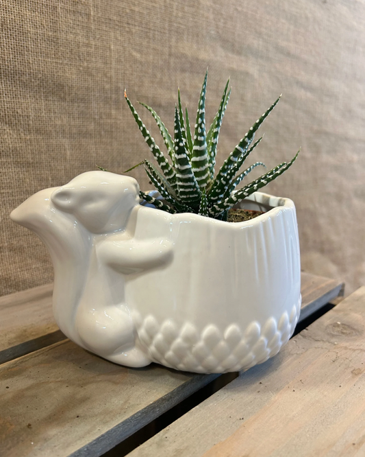 Cache-Pot écureuil blanc S