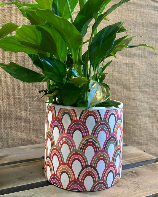 Cache-Pot Architecte L