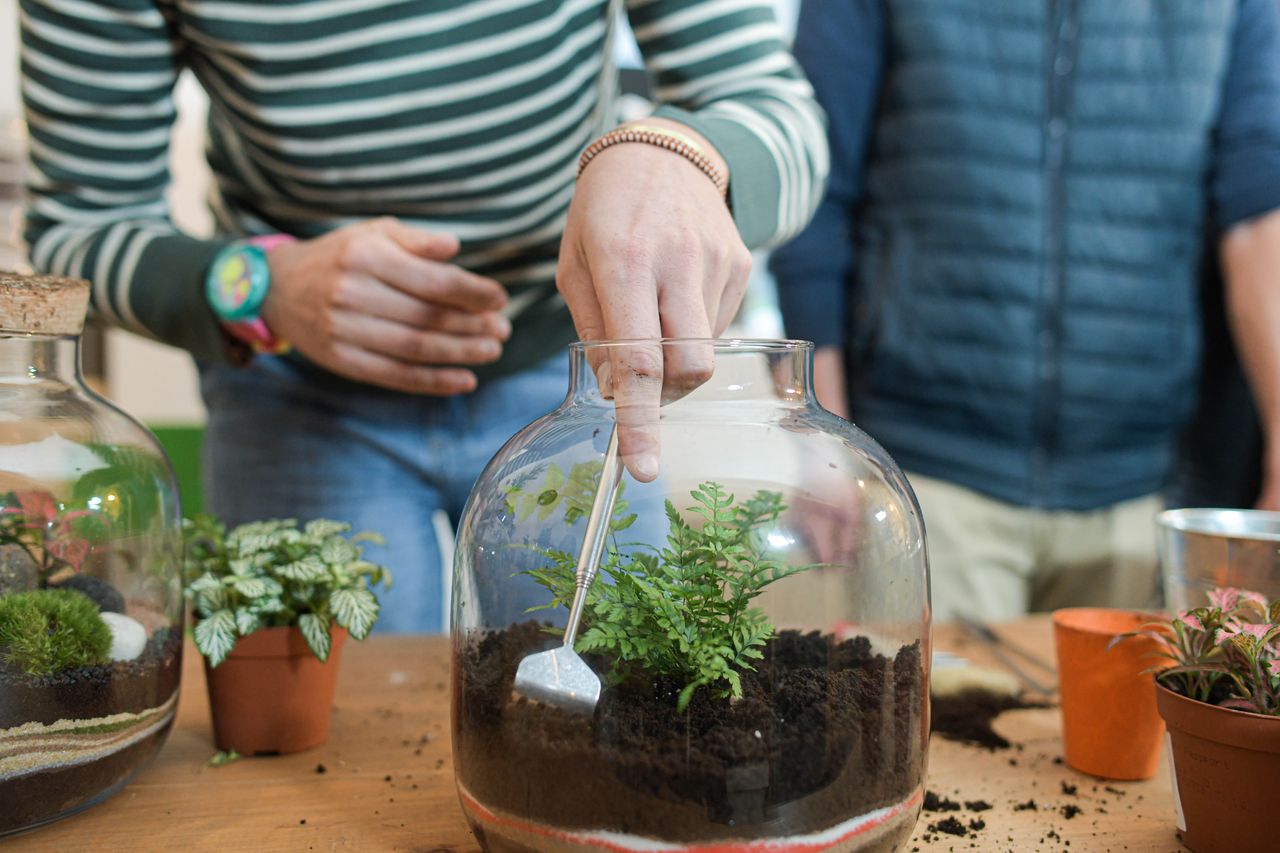 Atelier pour créer votre terrarium: Bulle de verre