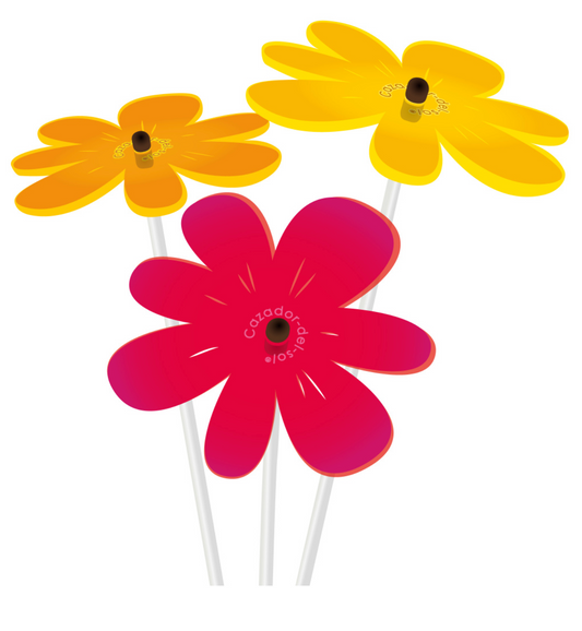 Bouquet de soleil Nea