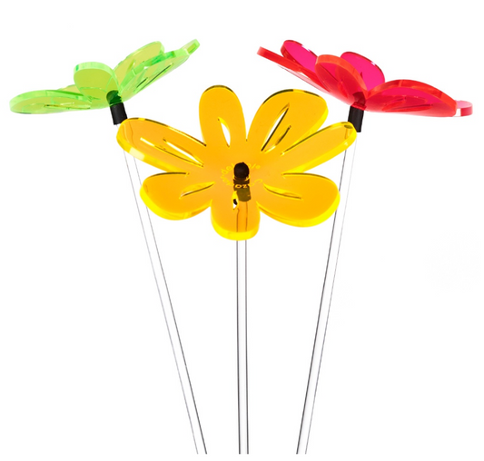 Bouquet de soleil Nea ondulée