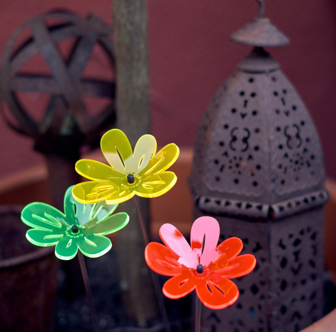 Bouquet de soleil Nea ondulée