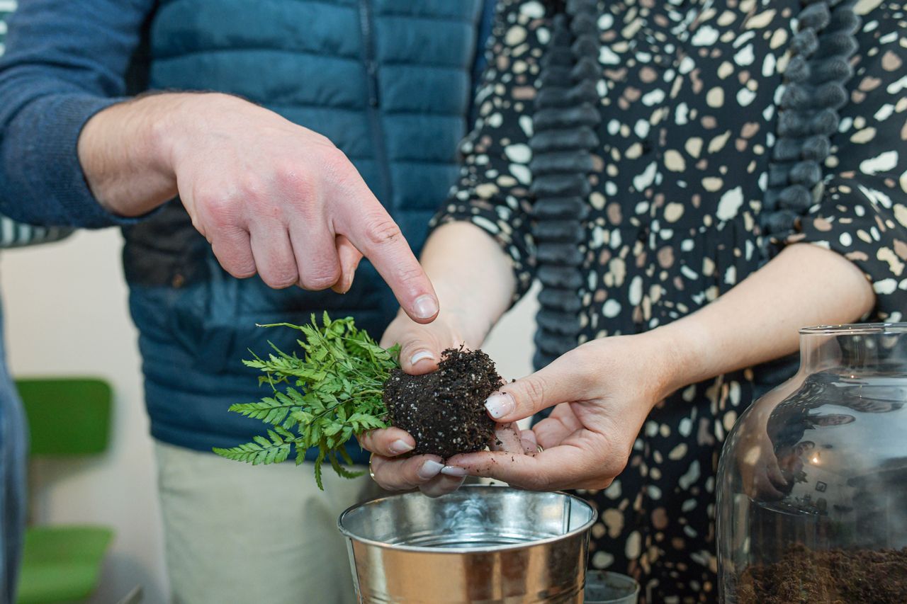Bon cadeau pour un atelier terrarium: Bulle de verre