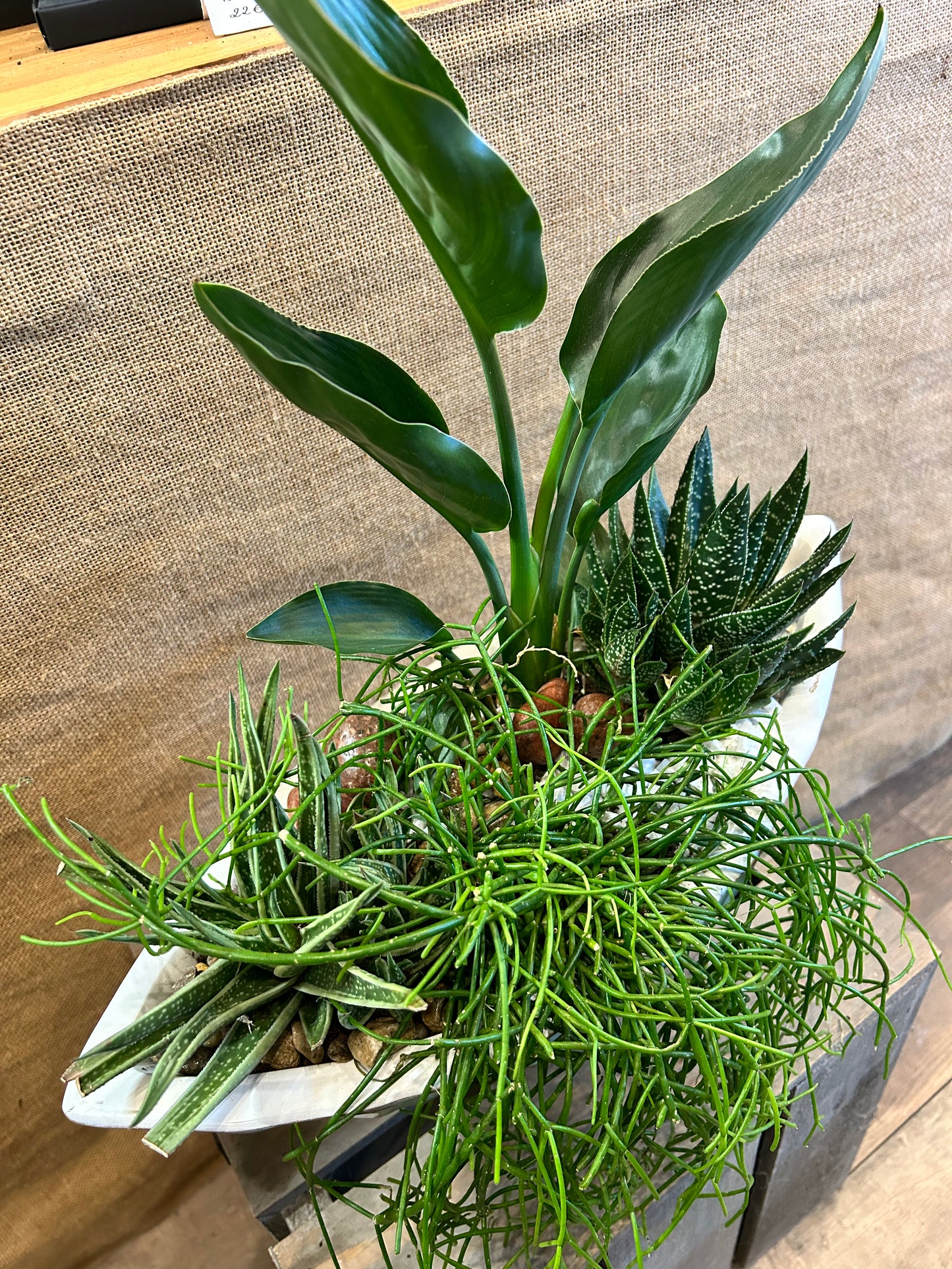 Composition végetal