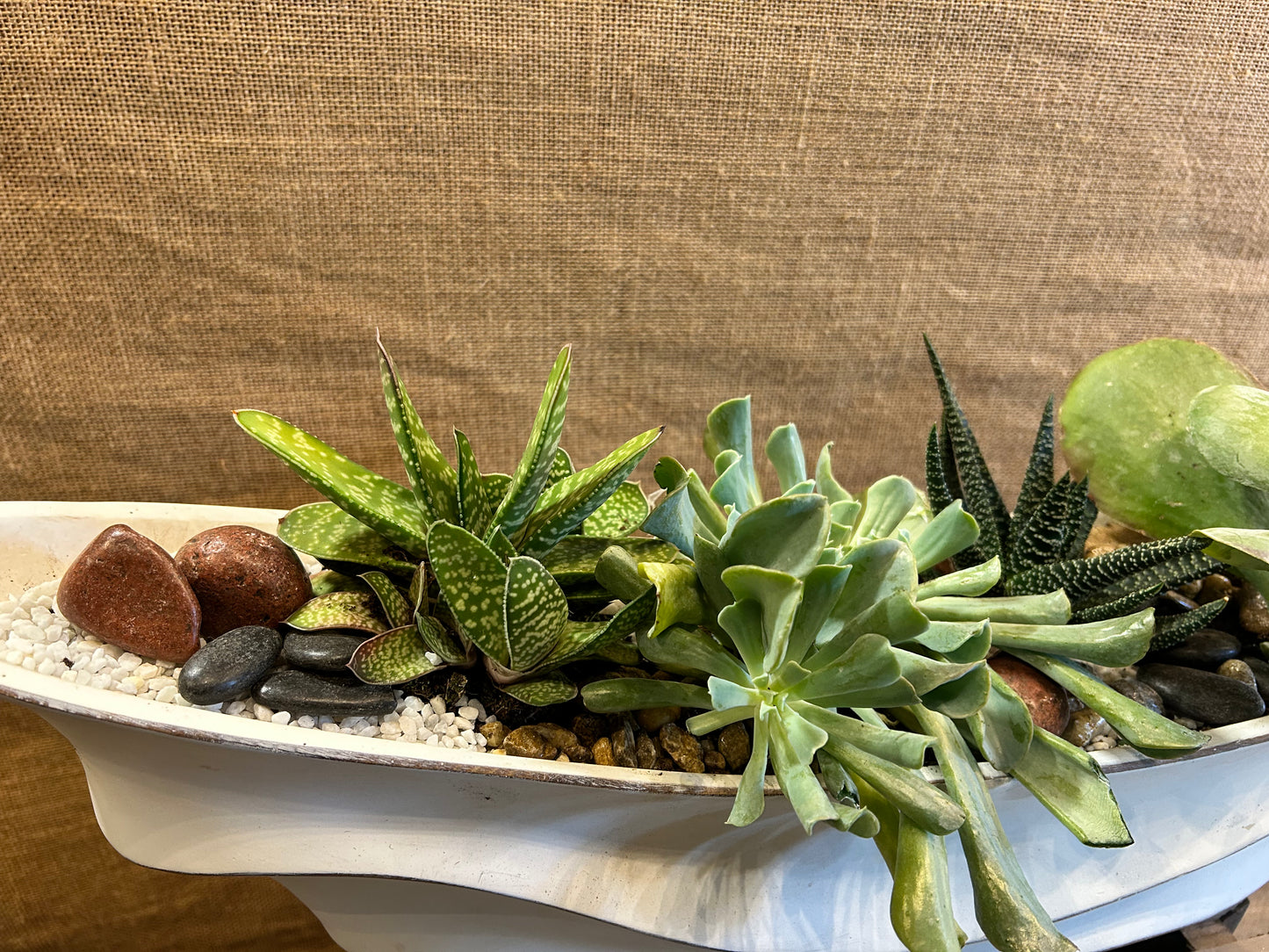 Composition végetal