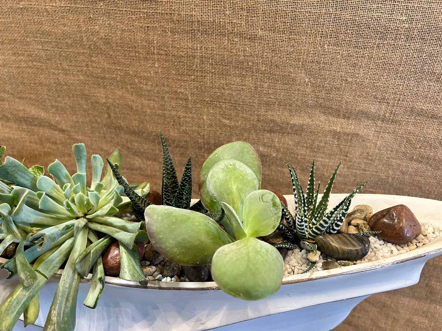 Composition végetal