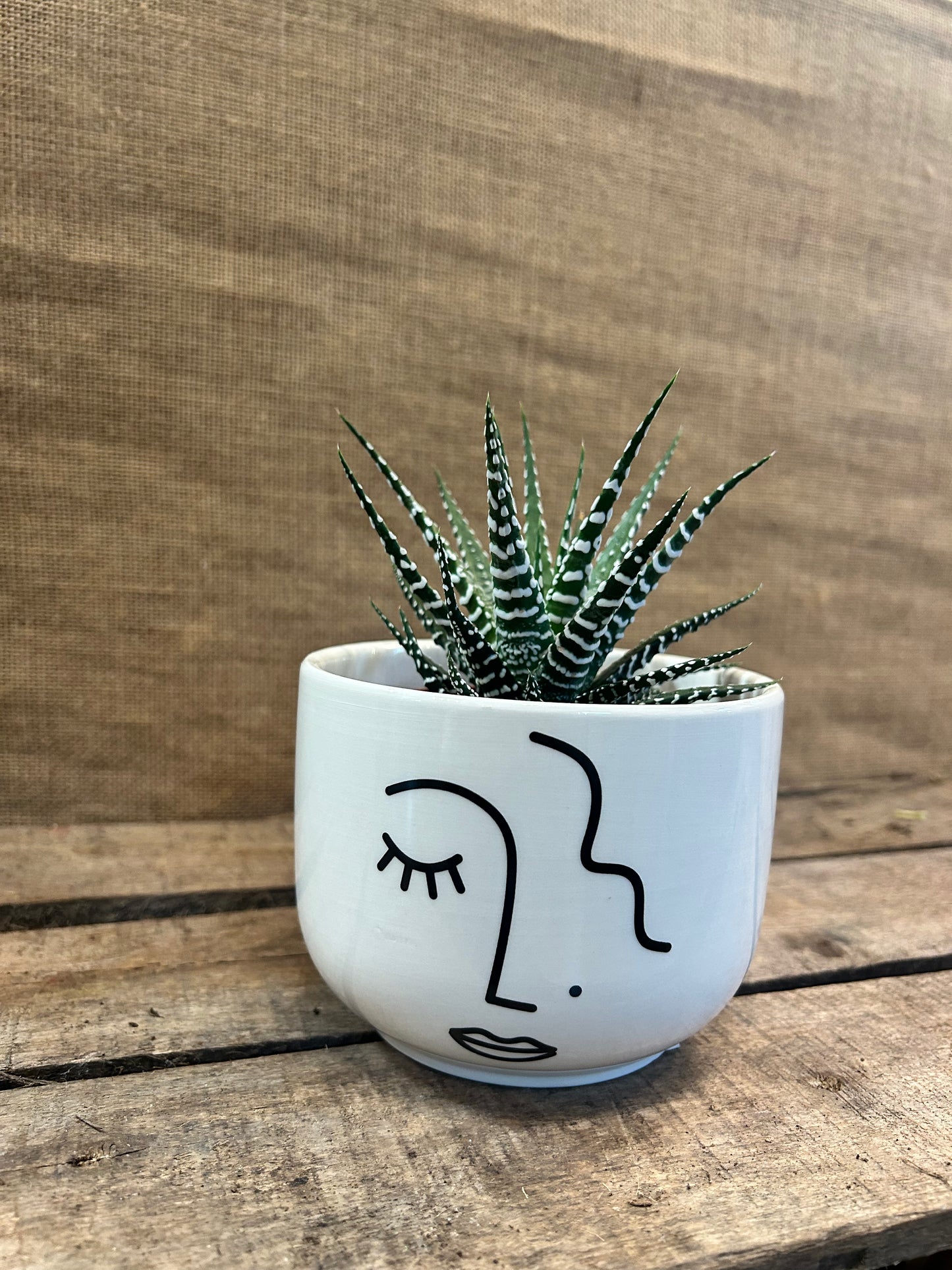 Cache-Pot Visage avec plante