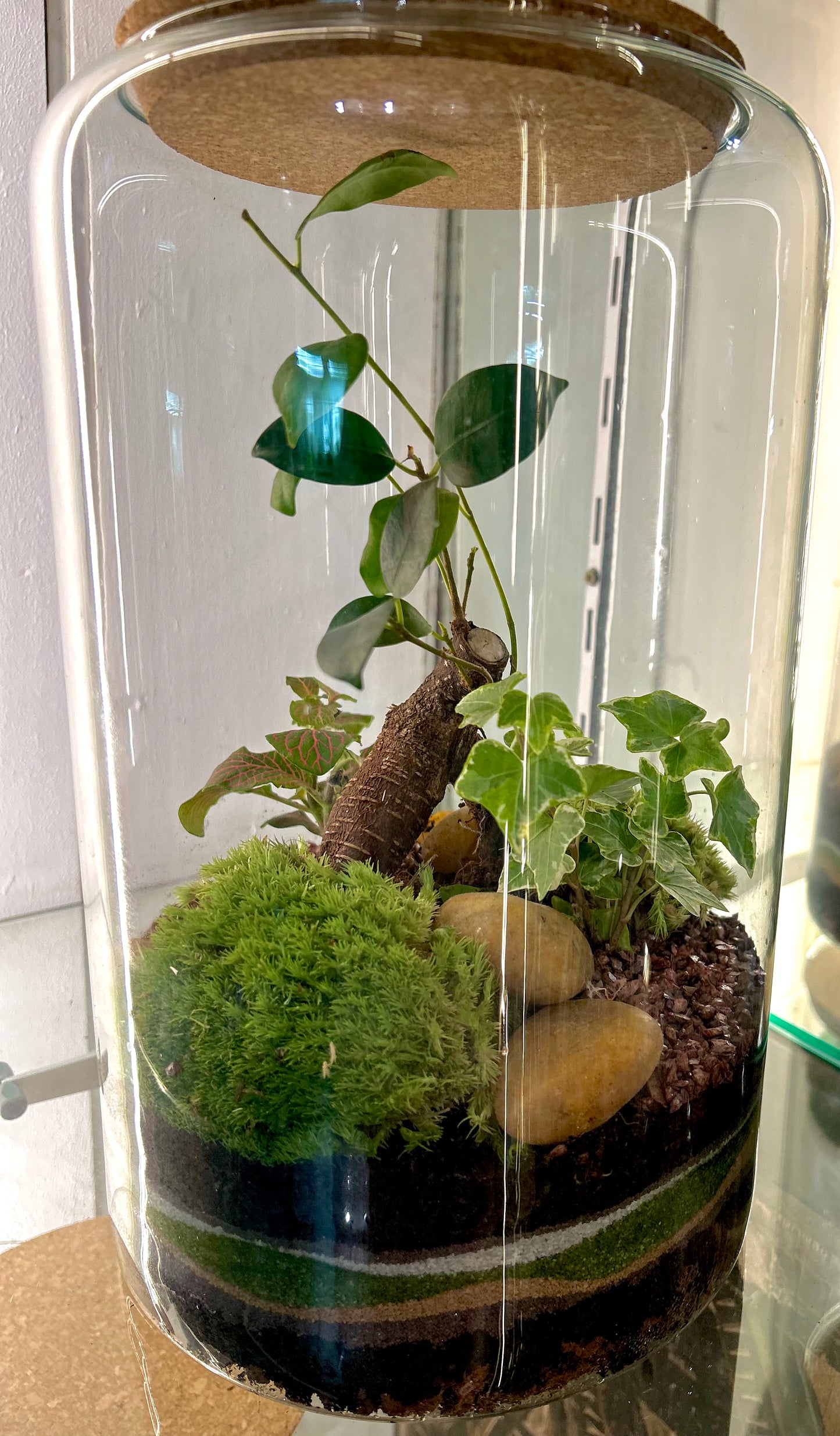 Atelier pour créer votre terrarium grand modèle