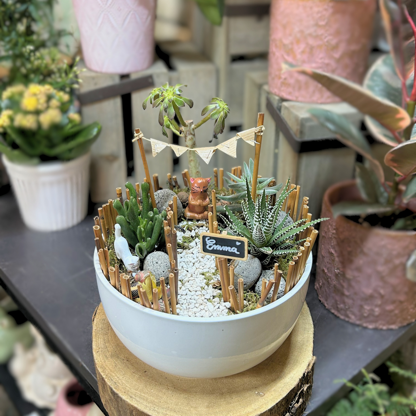 Atelier enfants: Mon mini monde en succulentes