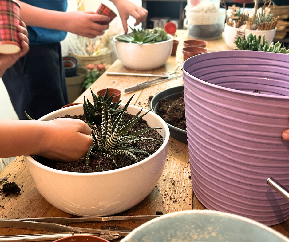 Atelier enfants: Mon mini monde en succulentes