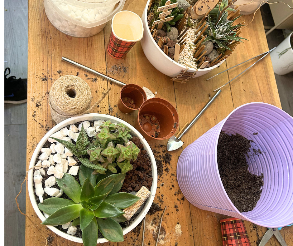 Bon cadeau pour un atelier enfants: Mon mini monde en succulente