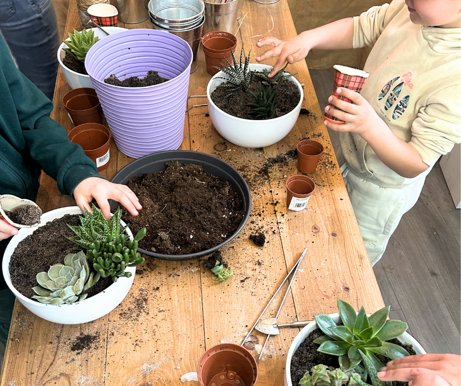 Atelier enfants: Mon mini monde en succulentes