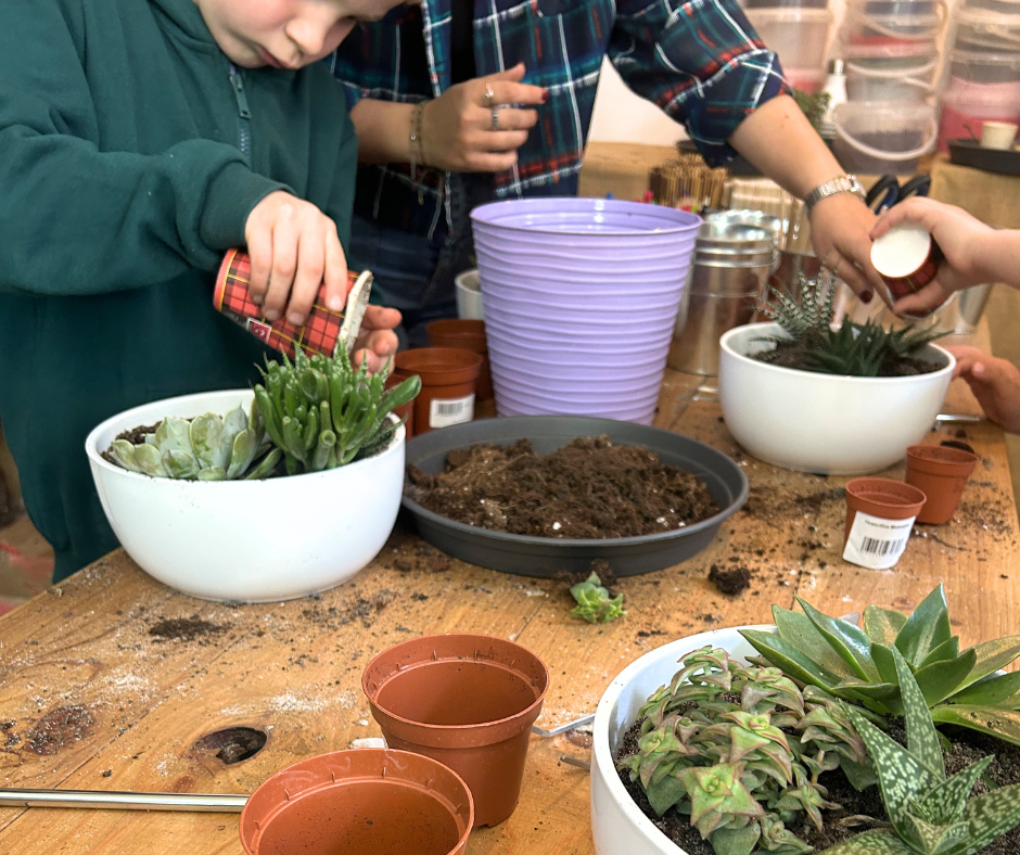 Atelier enfants: Mon mini monde en succulentes