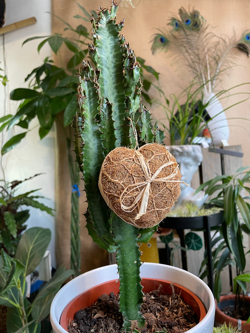 Image galerie Atelier Nature